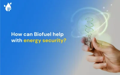 How can Biofuel help with energy security?