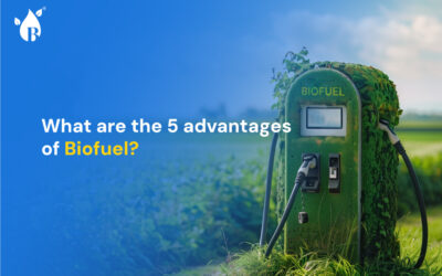 What are the 5 advantages of Biofuel?