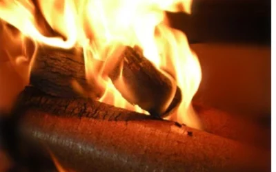 Optimizing Biomass Briquette Combustion Techniques for Improved Efficiency