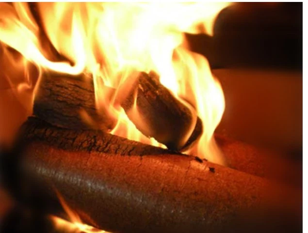 Optimizing Biomass Briquette Combustion: Techniques for Improved Efficiency