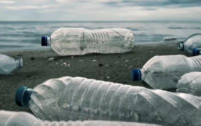 The Plastic Paradox: Redefining Plastic Waste as a Resource