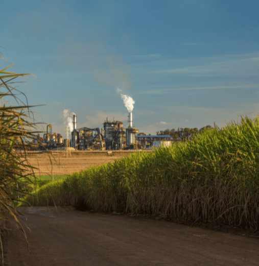 Waste to Bio-CNG: What role does the Indian sugar industry play in the transition to cleaner fuels?