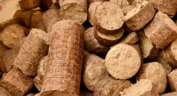 Wood Briquette – Latest price and trends