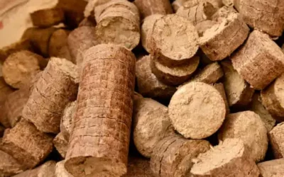 Wood Briquette – Latest price and trends