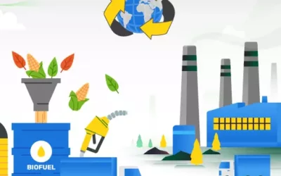 Biomass Briquettes: Turning Waste Into Energy