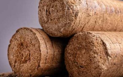 Which One Is Good for a Startup, Biomass Briquette or Pellet?