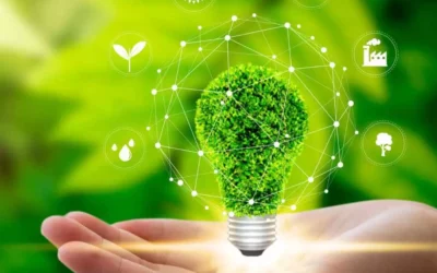Creating a Sustainable Future With Biomass Briquettes