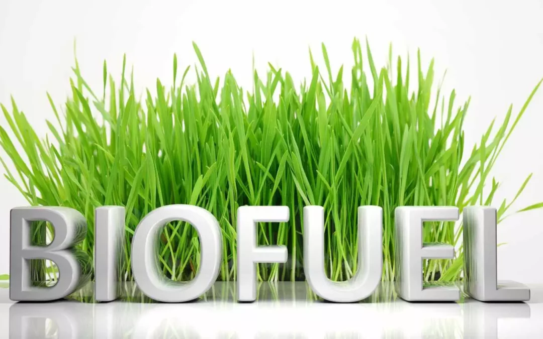 3 Challenges Faced by the Biofuel Industry That Are Delaying Biofuel Adoption