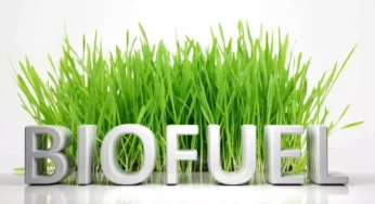 3 Challenges Faced by the Biofuel Industry That Are Delaying Biofuel Adoption