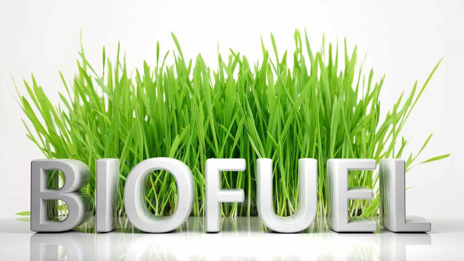 Green grass with biofuel