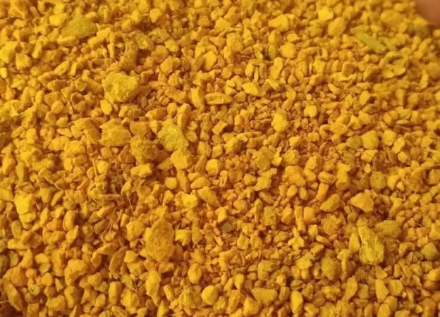 Solid-fuels-turmeric-spent-applications Turmeric Spent Powder Manufacturers & Supplier in India