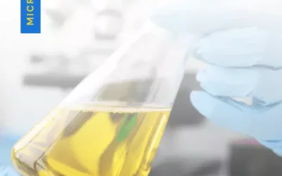 What is Biofuel made from?
