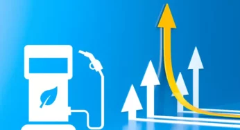 Recent Biofuel Momentum Gain – An Overview, Products and its Usage