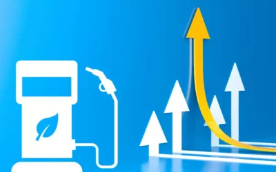 Recent Biofuel Momentum Gain – An Overview, Products and its Usage