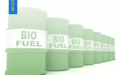 What is Biofuel? Give Examples