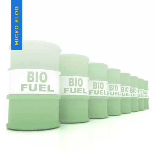 Examples of Biofuel