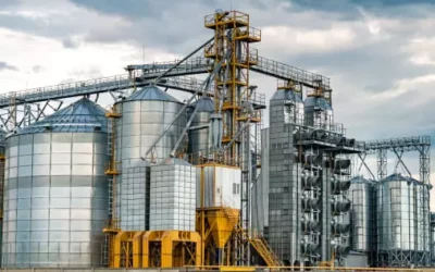 How Buyofuel’s Biomass Briquettes are Fueling Cement Plants in India?