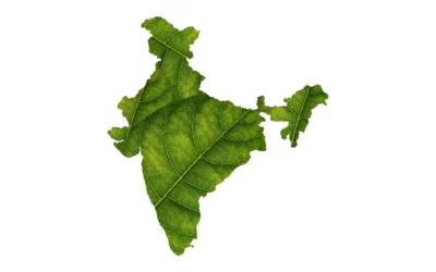 Biofuels for a Greener India: Policies and Approaches to Encourage Adoption
