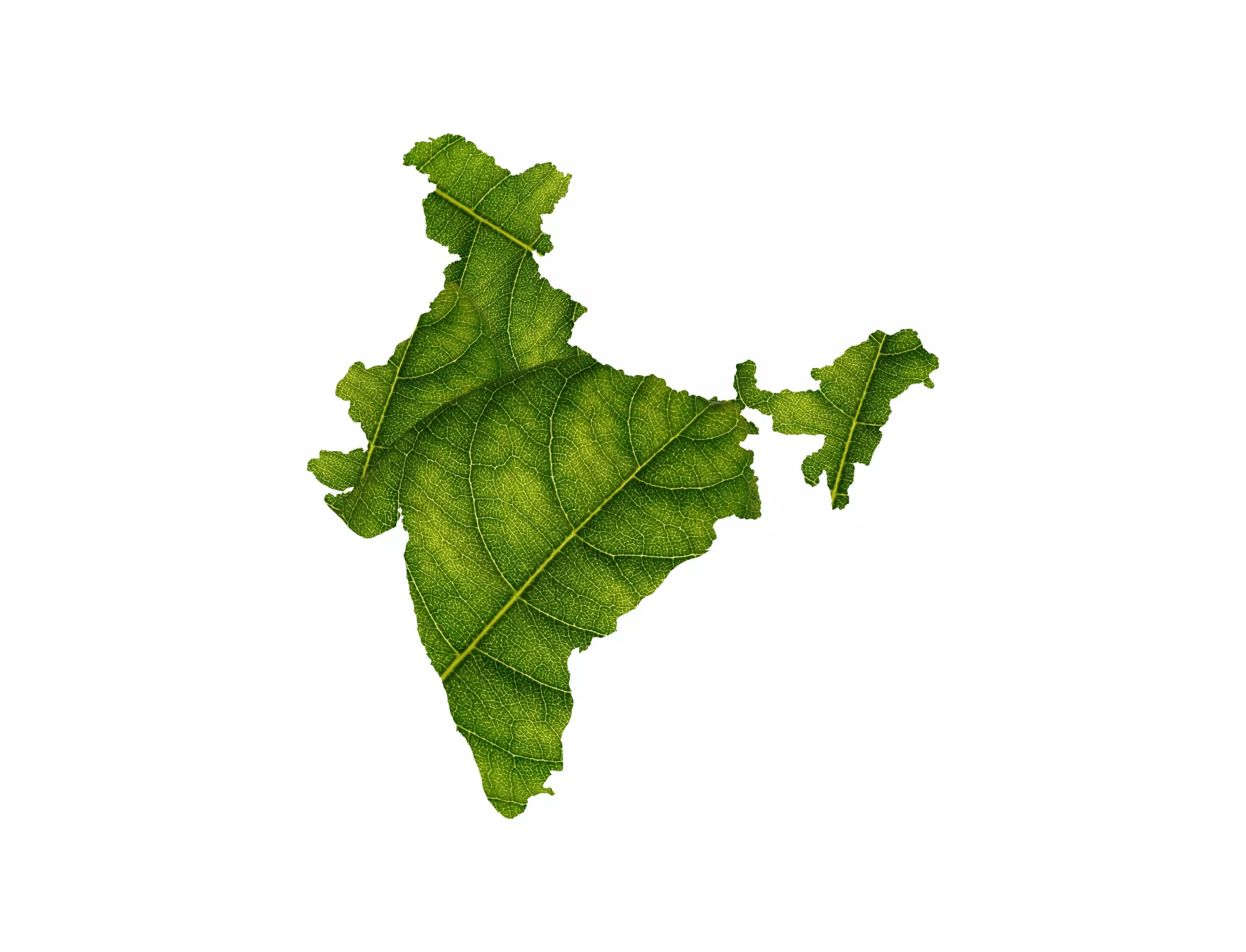 Biofuels for a Greener India: Policies and Approaches to Encourage Adoption