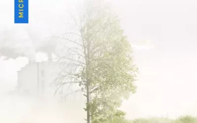 Is Biofuel Harmful to the Environment?