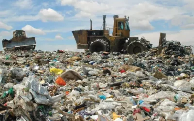 The Dirty Reality: Challenges of Municipal Waste Management in India