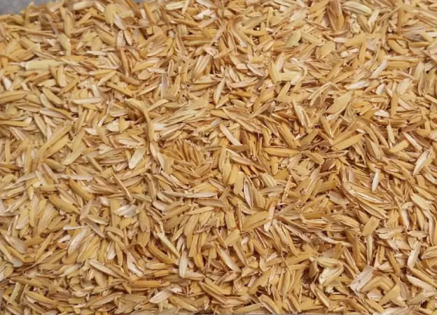 Rice Husk Pellets Manufacturer and Supplier