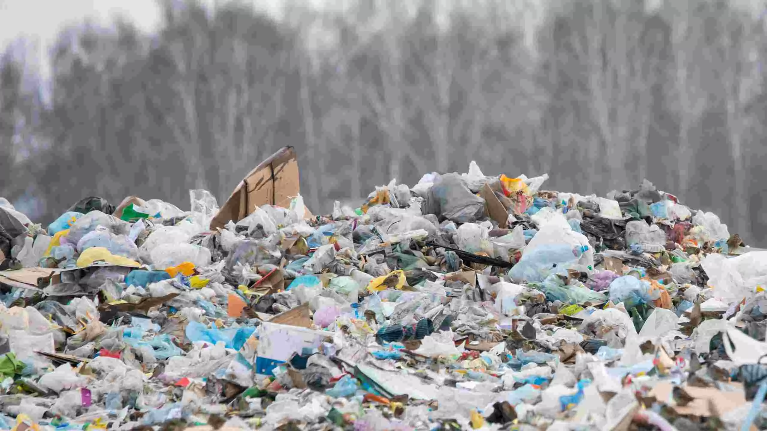 Plastics waste or raw materials