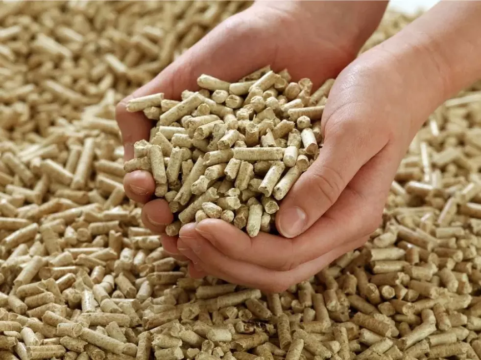 saw-dust-pellets saw dust pellets