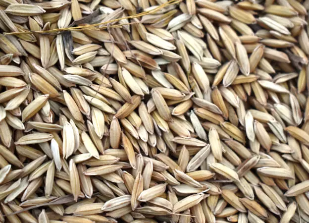 rice husk products manufacturer
