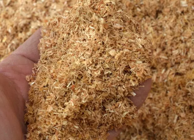 sawdust powder