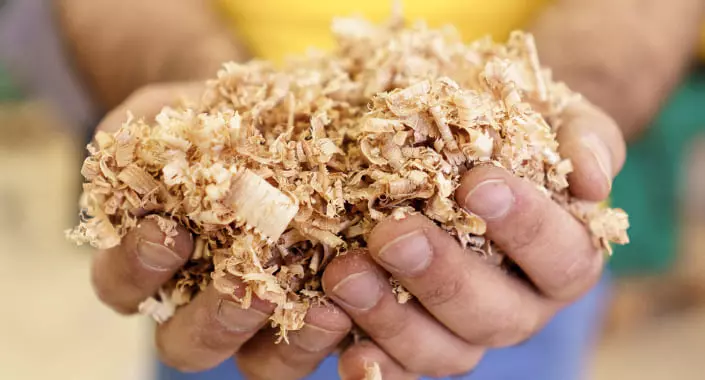 solid-fuels-sawdust-banner sawdust powder