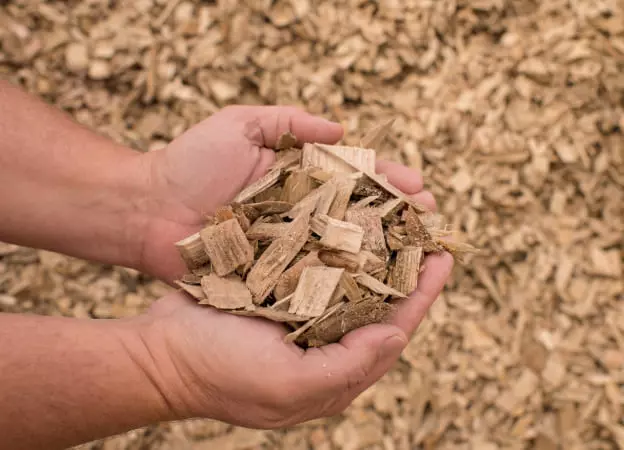 Wood Chips Briquettes Manufacturers and Supplier in India