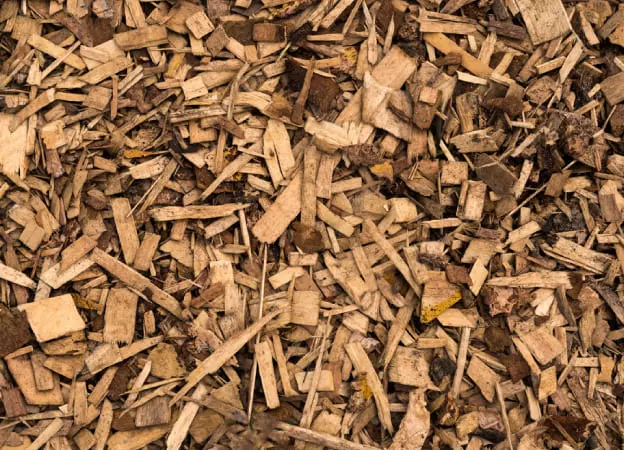 Wood Chips Briquettes Manufacturers and Supplier in India