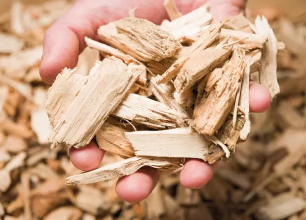 Wood Chips Briquettes Manufacturers and Supplier in India