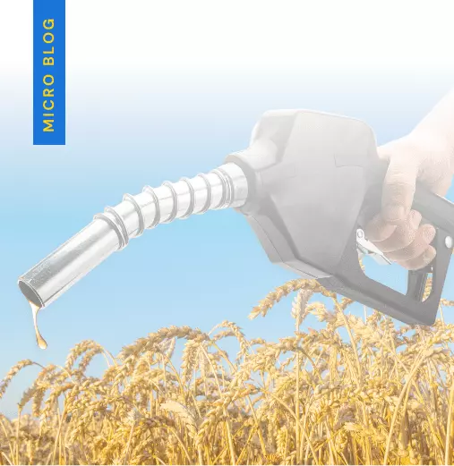 What are 6 disadvantages of biofuel?