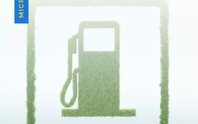 Which Biofuel is used in India?