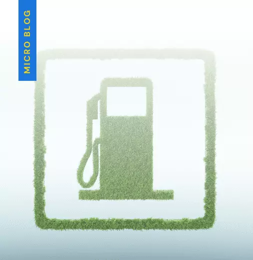 Which Biofuel used in India