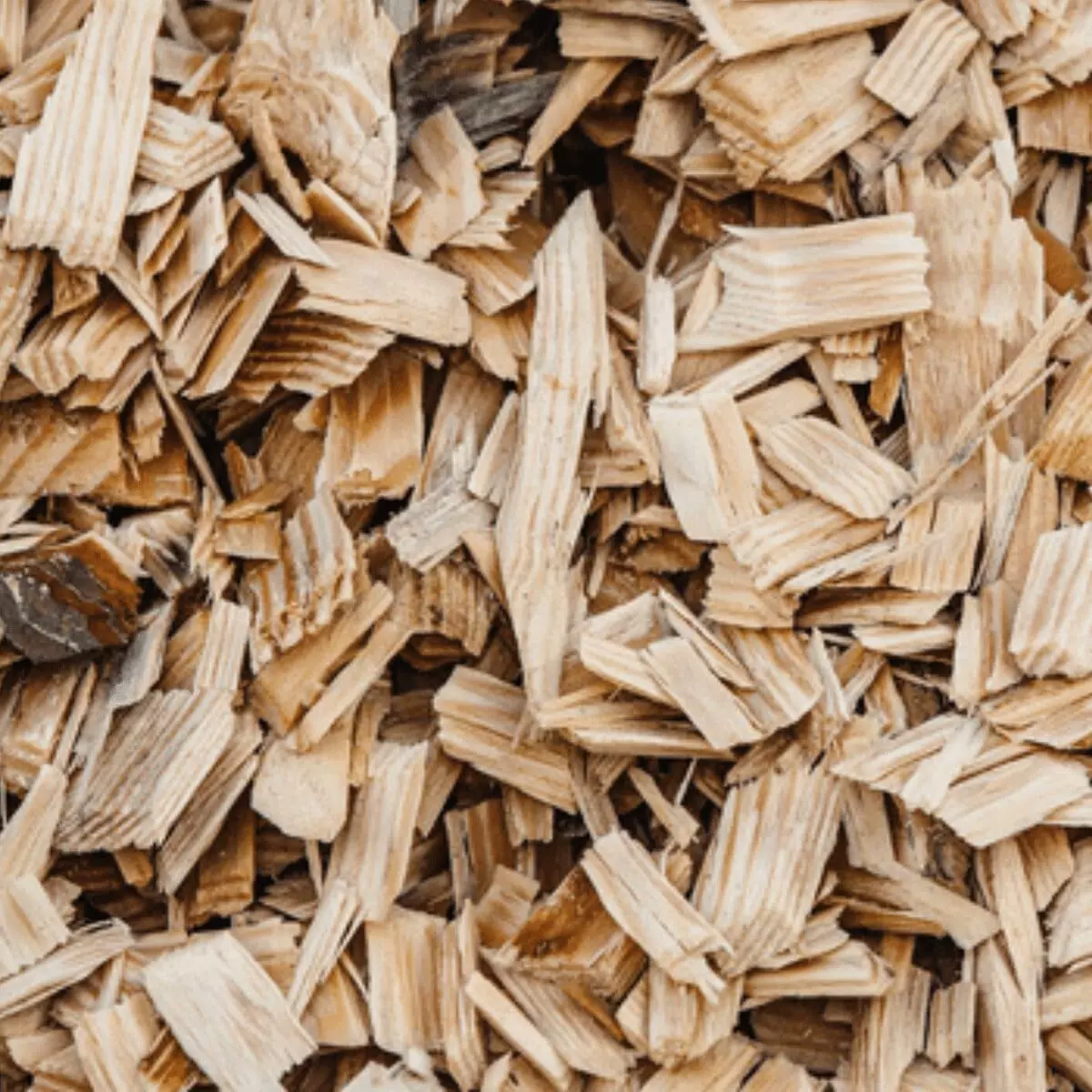 What are woodchips used for?