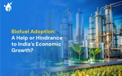 Biofuel Adoption: A Help or Hindrance to India’s Economic Growth?