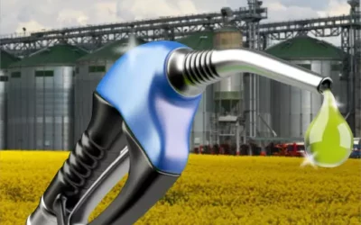 Biodiesel Manufacturers: Bridging the Gap Between Energy and Sustainability