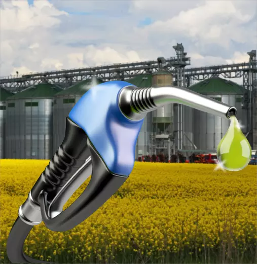 biodiesel-manufacturers