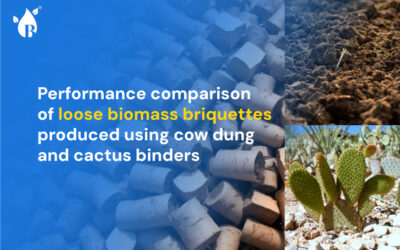 Performance comparison of loose biomass briquettes produced using cow dung and cactus binders