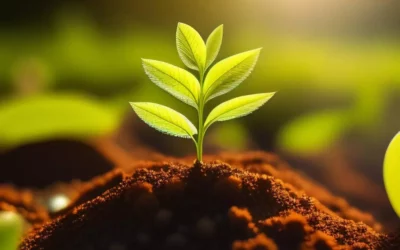 Planting a Greener Future: Buyofuel is on Force Through Cauvery Calling