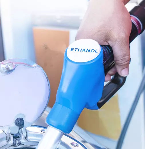 The Future of Bioethanol