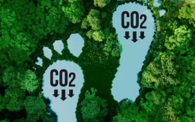 Reducing Carbon Footprint: The Power of Biodiesel in the Fight Against Climate Change