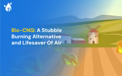 Bio-CNG: A Stubble Burning Alternative and Lifesaver Of Air