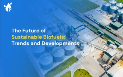 The Future of Sustainable Biofuels: Trends and Developments