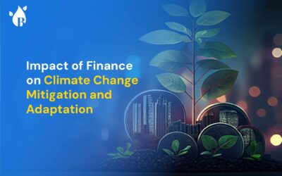 Impact of Finance on Climate Change Mitigation and Adaptation