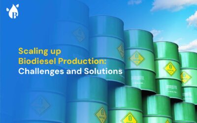 Scaling up Biodiesel Production Challenges and Solutions for Manufacturers
