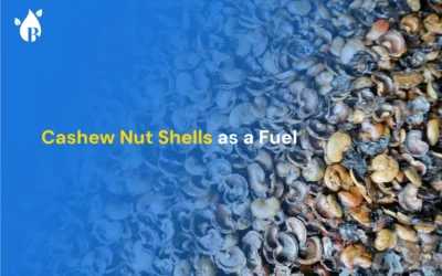 Cashew Nut Shells as a Fuel